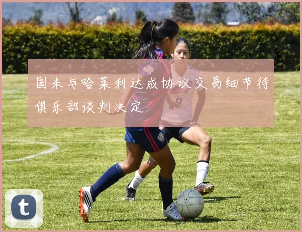 国米与哈莱利达成协议交易细节待俱乐部谈判决定